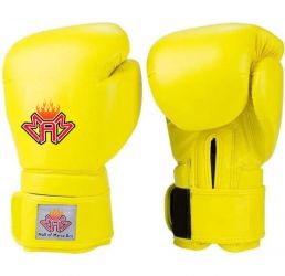 Boxing Gloves